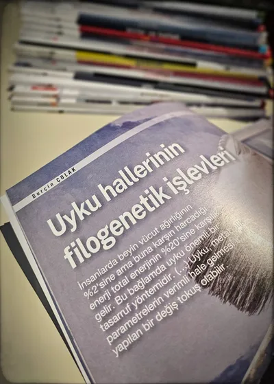 Uyku hallerinin Filogenetik işlevleri